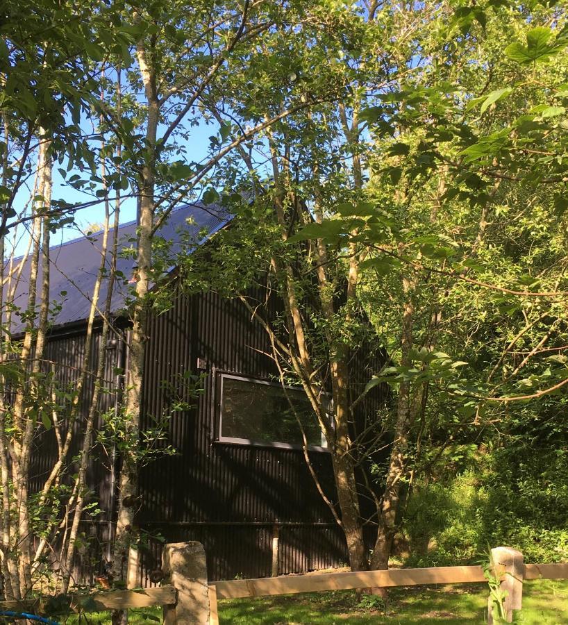 Alder Cabin Kilkenny Exteriér fotografie