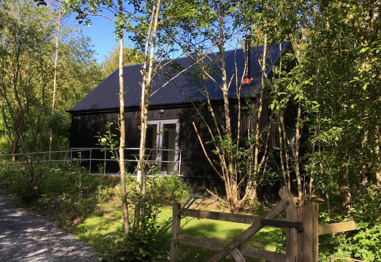 Alder Cabin Kilkenny Exteriér fotografie